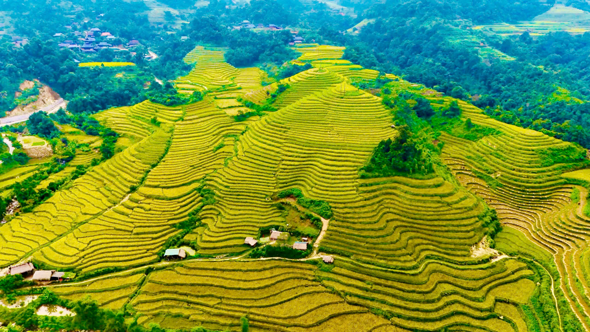Begin the ascent from Thon Tha to Khuoi My. Hike through dense forests and vast Dao rice terraces.